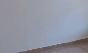 Imagem 4: Aluga-se borboleta