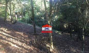 Imagem 6: Terreno à venda, 2400 m² por R$ 600.000,00 - Jardim Maria Trindade - São Roque/SP