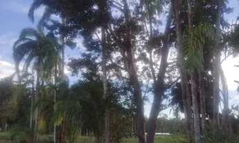 Imagem 6: Sítio excelente