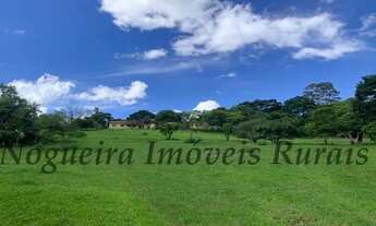 Imagem 2: Sítio com 5 alqueires em Cesário Lange - SP (Nogueira Imóveis Rurais