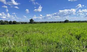 Imagem 2: . Uma fazenda 238 alqueires. 85 km de Pedro Afonso Tocan .. 2