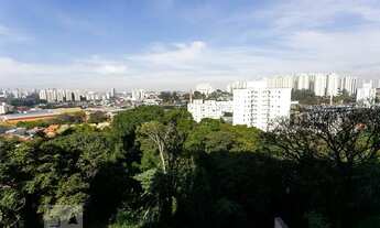 Imagem 7: Apartamento para Aluguel - Parque Assunção, 2 Quartos, 66 m2