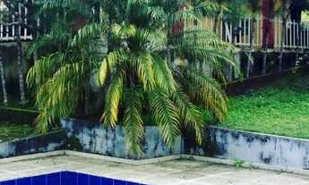 Imagem 4: Um verdadeiro paraíso localizada no eixo do parque nacional de Ubajara