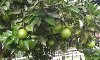 Imagem 4: Fazenda/Sítio/Chácara para venda tem 240000 metros quadrados em Área Rural de Resende - Re