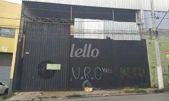 Imagem: São Paulo - Galpão/Depósito/Armazém