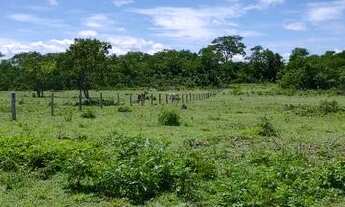 Imagem 6: Chácara na região do cinquentinha 15 km de terra