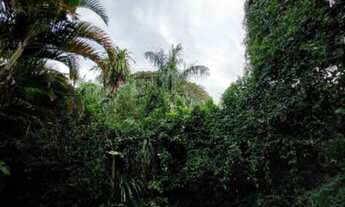 Imagem 7: CASA 4 DORMITORIOS 3 SUITES PISCINA LOCACAO