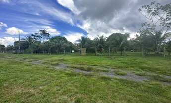 Imagem 7: Chácara com Piscina e casa de Apoio + Poço/ 7.740 m2