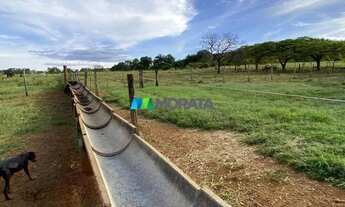 Imagem 6: CURVELO - Fazenda - Zona Rural