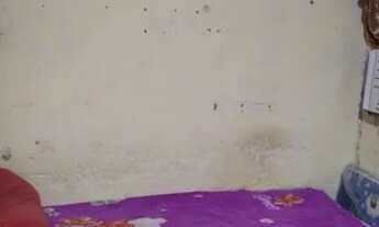 Imagem 3: Casa para venda possui 45 metros quadrados com 2 quartos em Tenoné - Belém - Pará