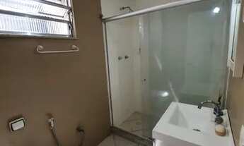 Imagem 5: LARANJEIRAS VERDE