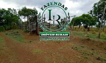 Imagem 4: Fazenda 43 Alqueires Próximo a Palmas