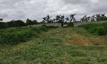 Imagem 5: Oportunidade lote 300 MTS Cána do Reino 26 de setembro r$ 90 mil