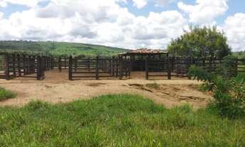 Imagem 3: Fazenda no Km 100