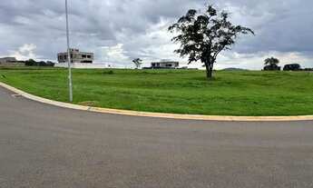 Imagem 5: PLATEAU DOR UNIQUE