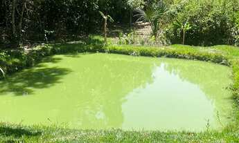 Imagem 4: Urgentemente- Chácara de 5000mts em Hidrolândia 45km do Garavelo