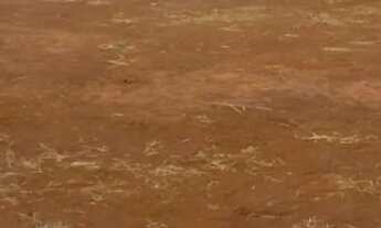 Imagem 3: Terreno Comercial - Industrial Leste