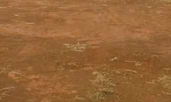 Imagem 4: Terreno Comercial - Industrial Leste