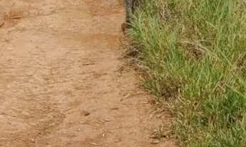 Imagem: Vendo terreno de 2 hectares no tororó próximo