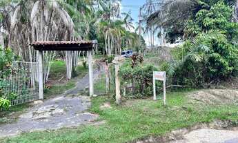 Imagem 6: Vende-se o Sítio São José de Ribamar: Um Paraíso Tropical na AM 010, Km 112