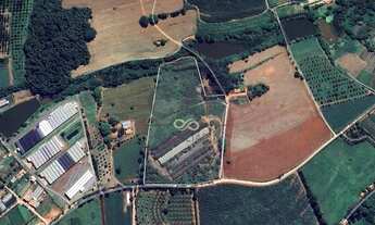 Imagem: SÍTIO PRODUTIVO À VENDA GRANJA DE FRANGO