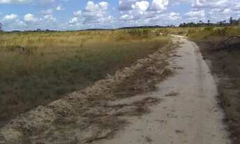 Imagem: Fazenda em Caxias do Maranhão