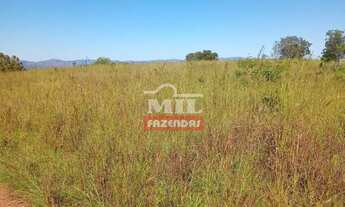 Imagem 7: Fazenda 175 alqueires (840 hectares) Minaçu - Go