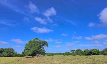 Imagem 2: VENDO ÁREA SAO JOÃO DA BARRA