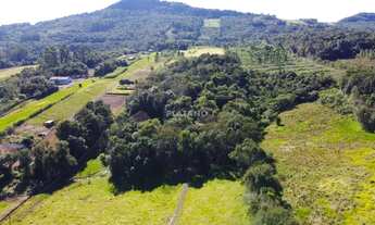 Imagem 7: Imóvel com 4 quartos no Picada 48 Alta, Ivoti