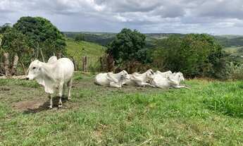 Imagem 4: Sítio Branquinha / União