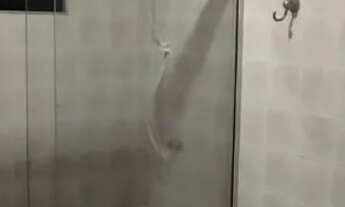 Imagem 9: Alugo aptº Ed. Sunset Park com 1 qts