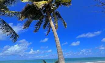 Imagem 4: BEIRA MAR EM TAMANDARÉ, STUDIO NO TÉRREO COM 23M², ROOFTOP VISTA IMPECÁVEL..