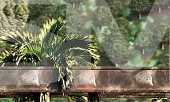 Imagem 3: Terreno à venda, INTERIOR, Faxinalzinho, RS