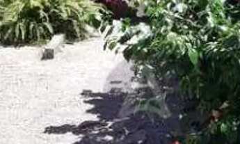 Imagem: Casa com 2 dormitórios à venda, 64 m²