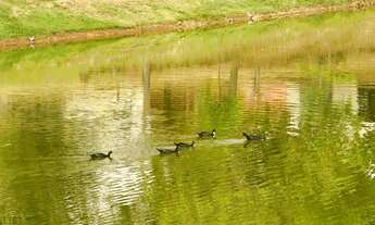 Imagem 4: Vendo ou troco Apartamento com 3 dormitórios