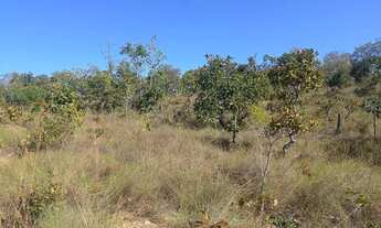 Imagem 2: VENDO!!! SÍTIO 20 HECTARES À VENDA NOSSA SENHORA DO LIVRAMENTO (MT