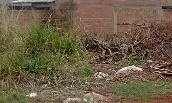 Imagem: Lote no jardim da Luz trindade ao lado do