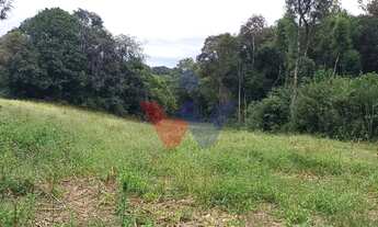 Imagem 2: Chácara dos Sonhos em Araucária 24.300m de Natureza e Tranquilidade