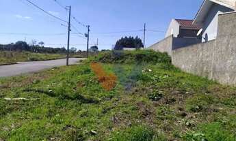 Imagem 3: Terreno 180m à venda em área alta com fácil acesso a Curitiba e Lapa