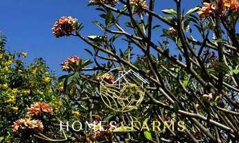 Imagem 6: Fazenda à Venda em Goiás