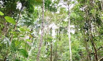 Imagem 7: Paraíso Ecológico em Santa Teresa Com 4 Hectares