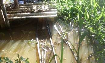 Imagem 3: Sítio em Itapina