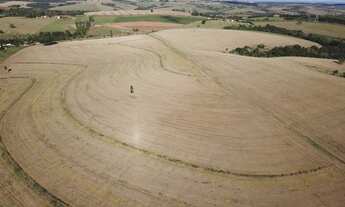 Imagem 4: Fazenda 39 Alqueires, Próximo Itapetininga-Sp
