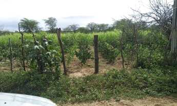Imagem 5: Sítio as margens do rio Paraiba medindo 30 hectares