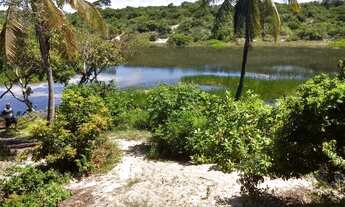 Imagem 5: Vendo área em Muriú com mais de 60 de lagoa, ideal para construção de hotel