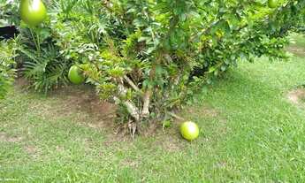 Imagem 5: Casa para Venda em Florianópolis, Santinho, 4 suítes, 6 banheiros, 10 vagas