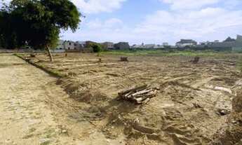 Imagem 2: Oportunidade terrenos na pecuária