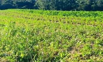 Imagem: Venha Conhecer Nosso Empreendimento de Ibiúna