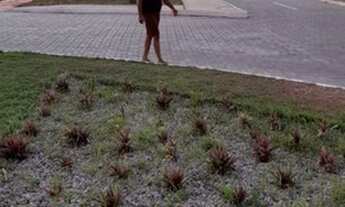 Imagem 3: Loteamento Pacatuba Iv,Ao Lado Da Cervejaria Heineken Infraestrutura Completa!.. n°:11