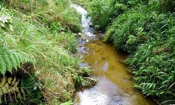 Imagem 3: Vende-se Terreno